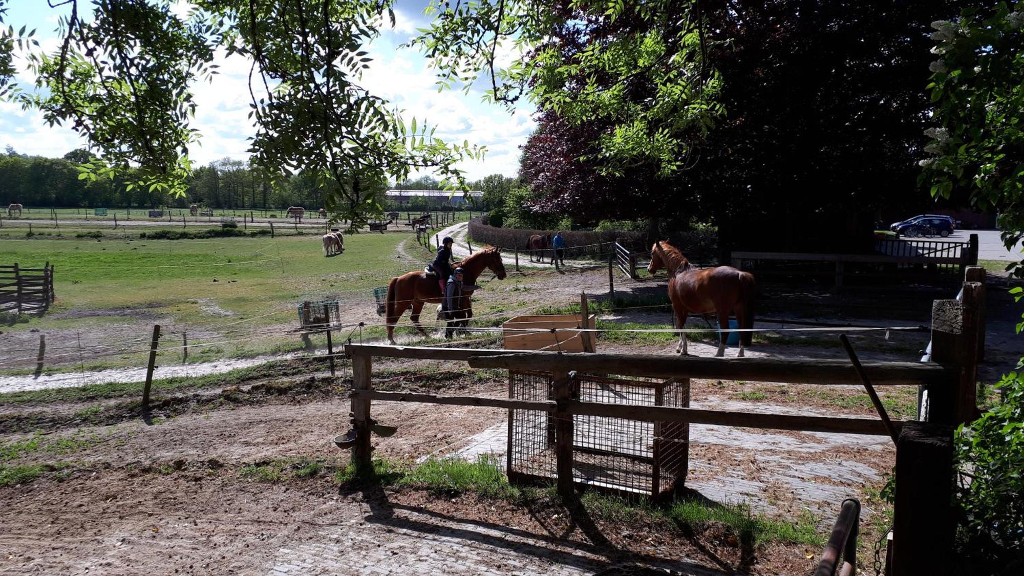 Reiterhof Jaegersburg Ferienwohnung Varel Zewnętrze zdjęcie