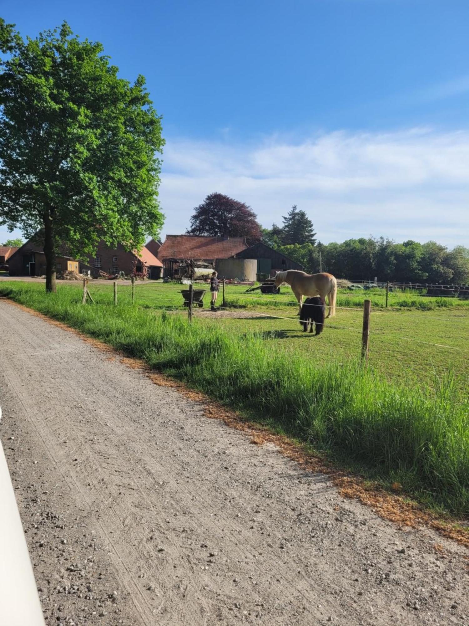 Reiterhof Jaegersburg Ferienwohnung Varel Zewnętrze zdjęcie