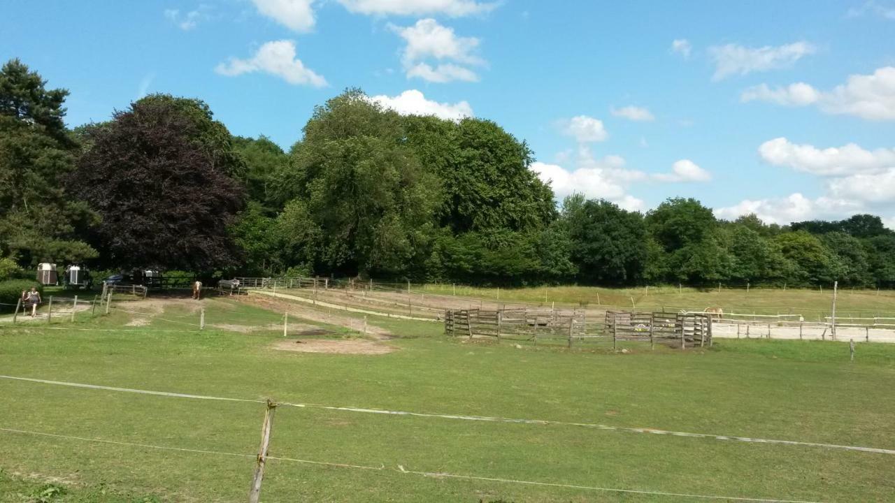 Reiterhof Jaegersburg Ferienwohnung Varel Zewnętrze zdjęcie